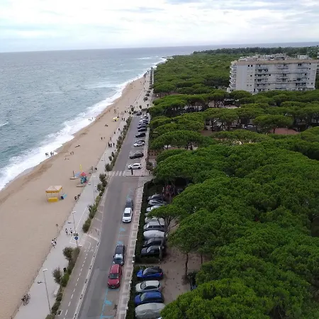 Bravaholidays-283-palmeras-3 *