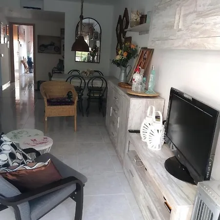 Bravaholidays-283-palmeras-3 *